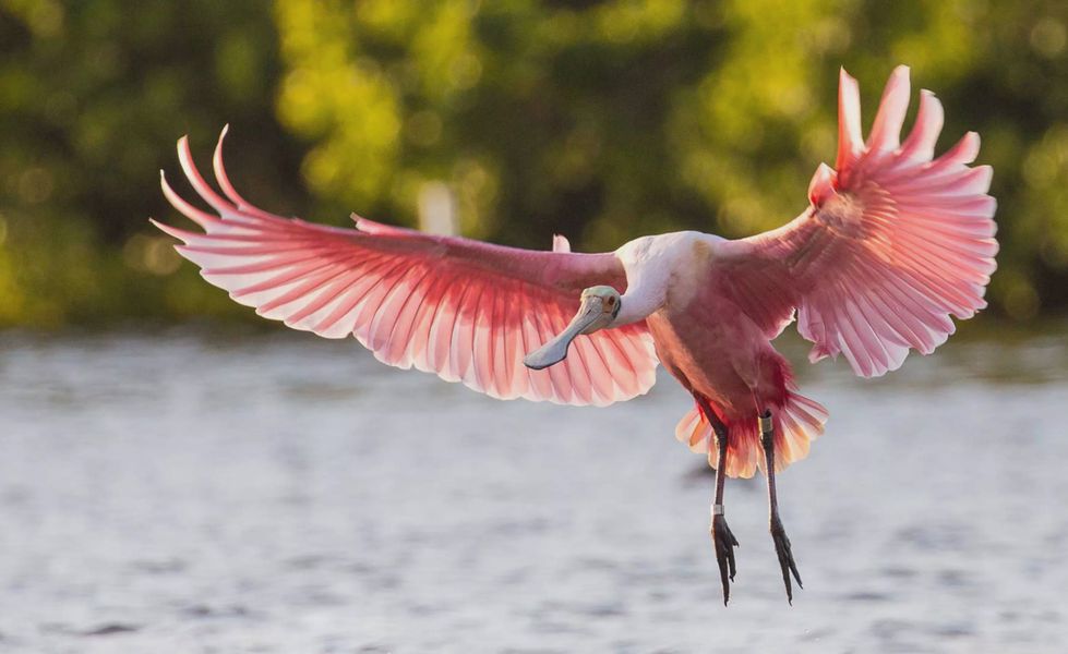 Image 13 of the Madeira at St Augustine community in St. Augustine, FL.