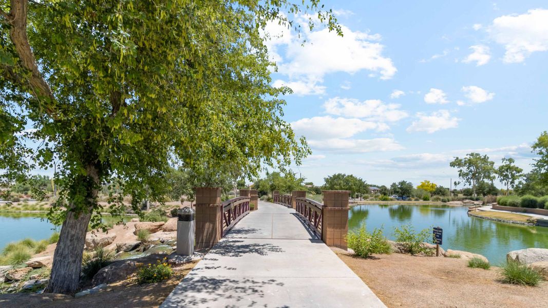 Natural surroundings and green spaces near Anthem at Merrill Ranch in Florence, AZ (Image 115).