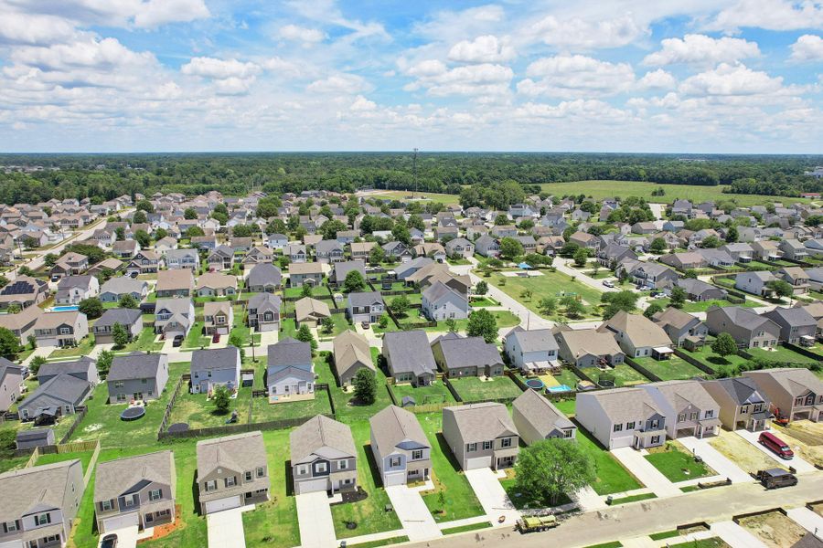 Canopy of Oaks at Hunter's Crossing Aerial View 2