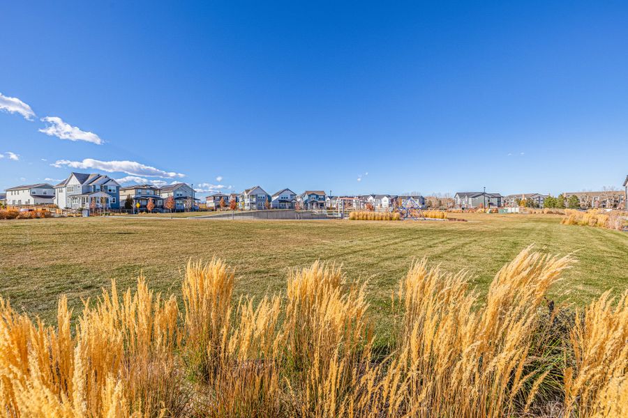 Image 28 of the Arras Park community in Thornton, CO.