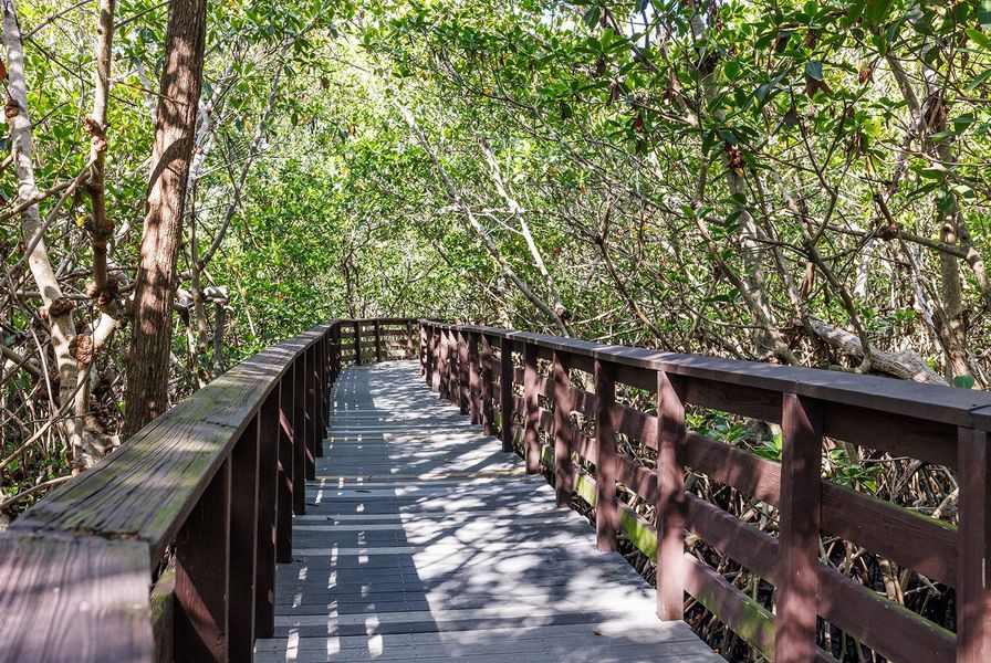 Wilton Manors Colohatchee Park