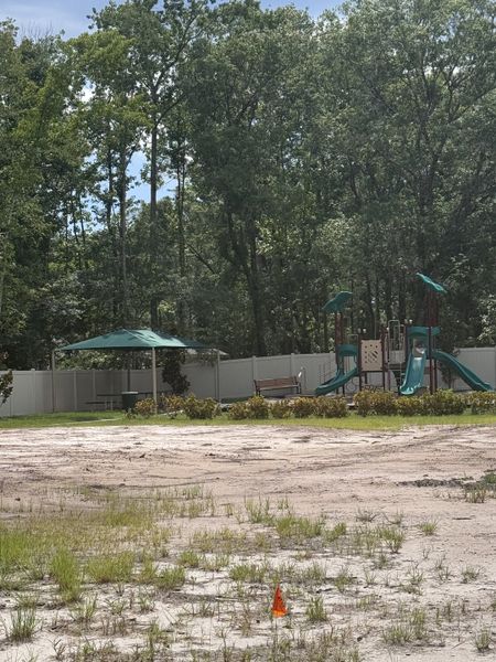 A lush playground with slides and seating in Baxley Villas by Drees Custom Homes (Middleburg, FL) surrounded by tall trees. A lush playground with slides and seating in Baxley Villas by Drees Custom Homes (Middleburg, FL) surrounded by tall trees.