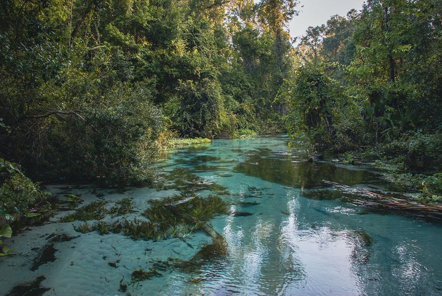 Apopka Rock Springs Kelly Park