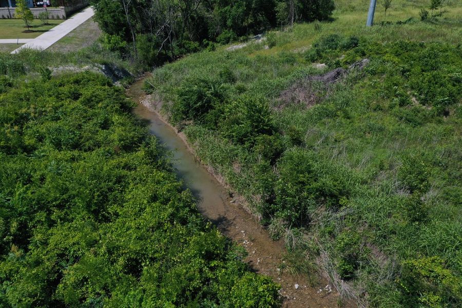 Natural surroundings and green spaces near The Parks at Wilson Creek: 50ft. lots in Celina, TX (Image 31).
