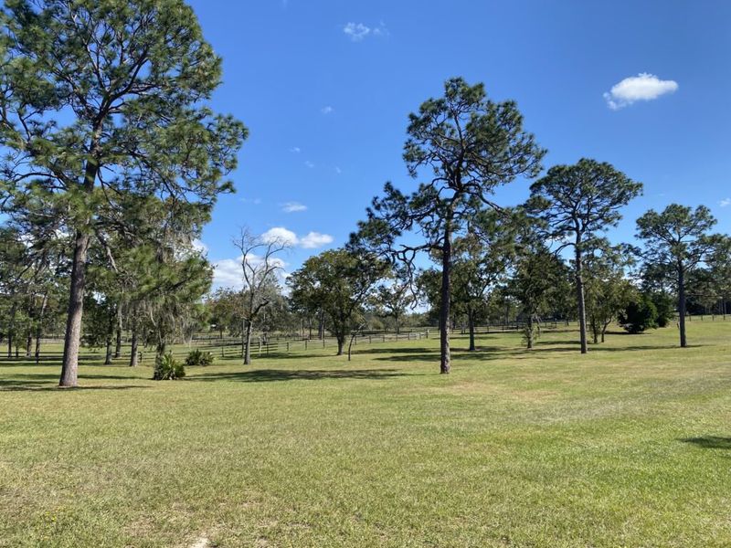Natural surroundings and green spaces near Pine Ridge in Beverly Hills, FL (Image 42).