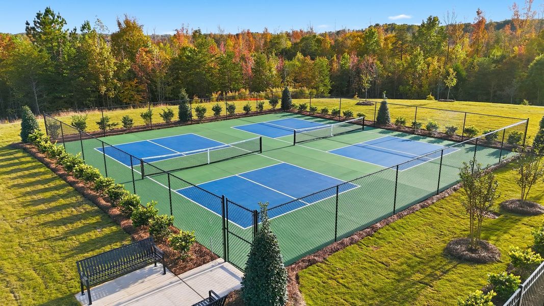 Pickleball Pickleball