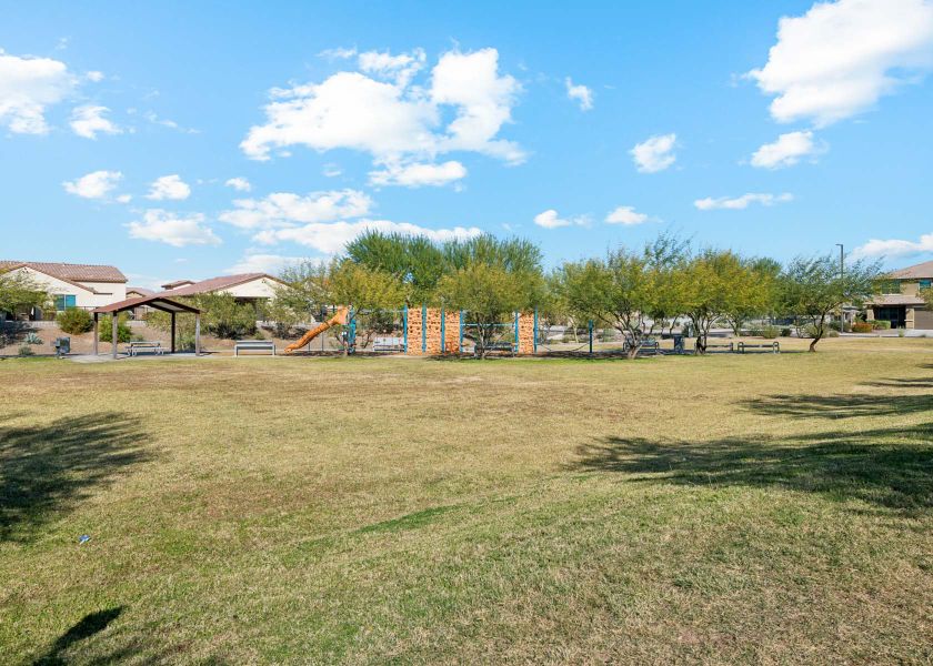 A grassy area with trees and buildings in the background. A grassy area with trees and buildings in the background.
