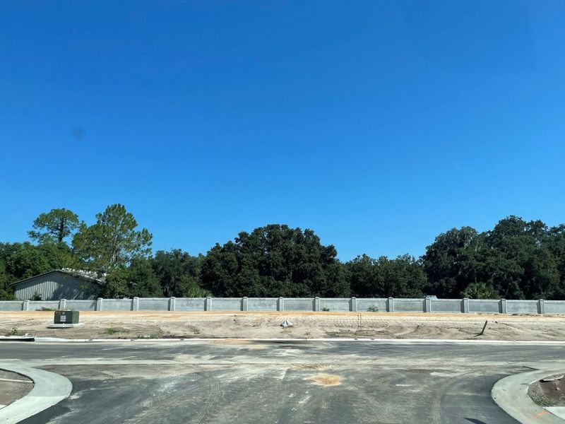 Image 23 of the Bartram's Landing at St. Johns community in Sanford, FL.