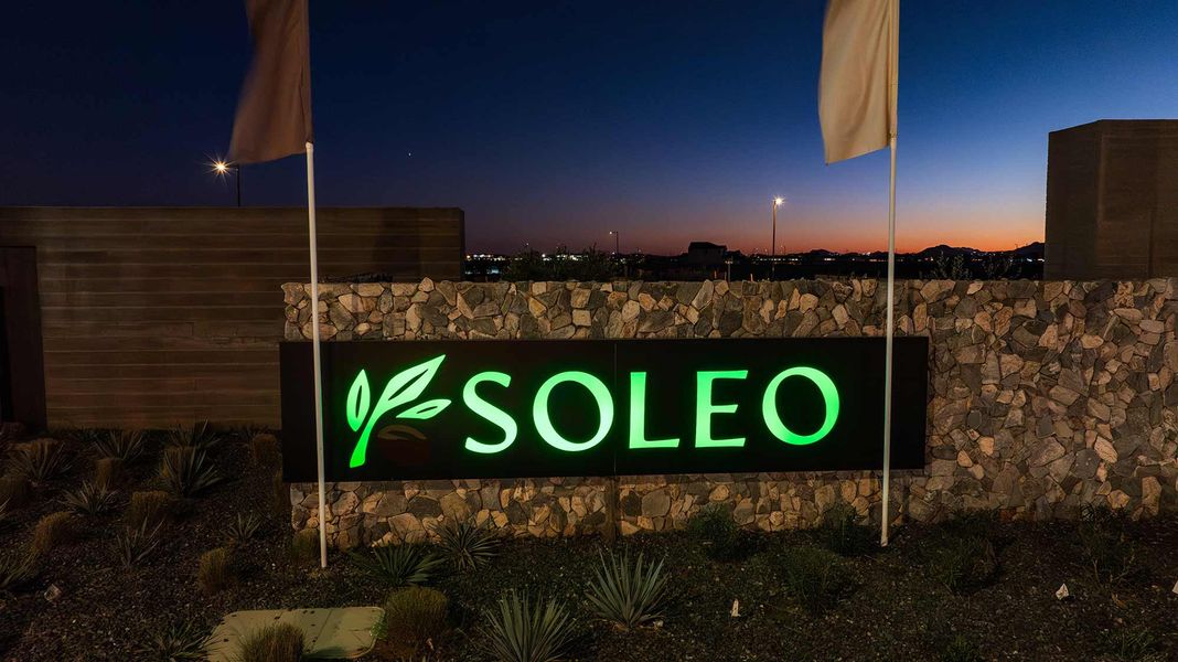 Entrance to the Alston at Soleo community in San Tan Valley, AZ, featuring signage and landscaping (Image 5).