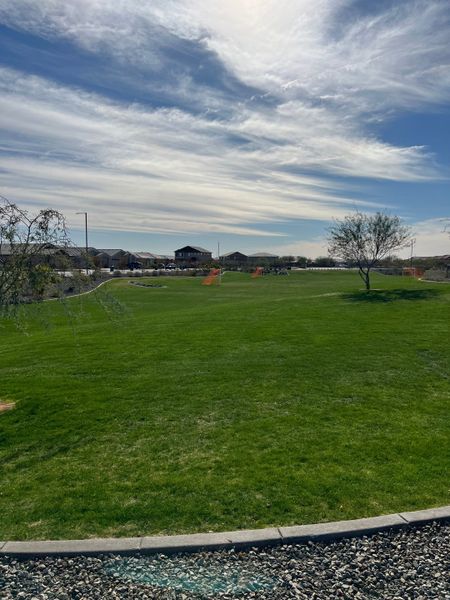 Expansive green park with soccer goals and a scenic backdrop in Tirreno at IronWing by Beazer Homes (Litchfield Park, AZ).