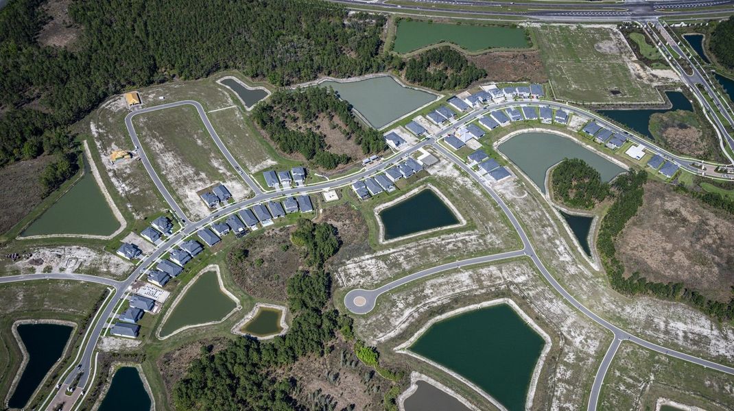 Aerial view of the Tamarack at Two Rivers community in Zephyrhills, FL, showing layout and nearby surroundings (Image 12).