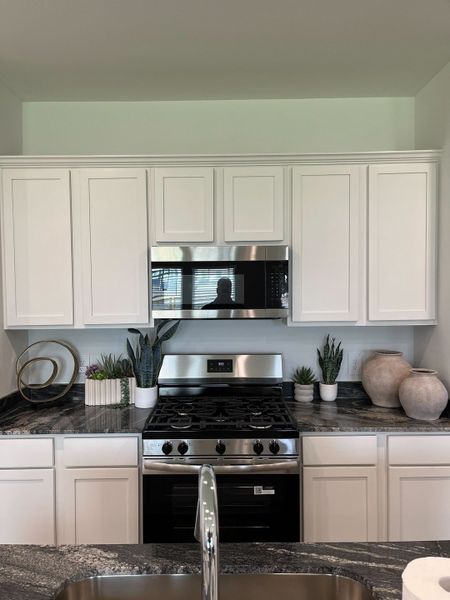 A sleek kitchen featuring white cabinetry, stainless steel appliances, and a granite countertop adorned with decorative plants.