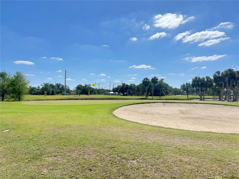 Natural surroundings and green spaces near Deep Creek in Punta Gorda, FL (Image 7).