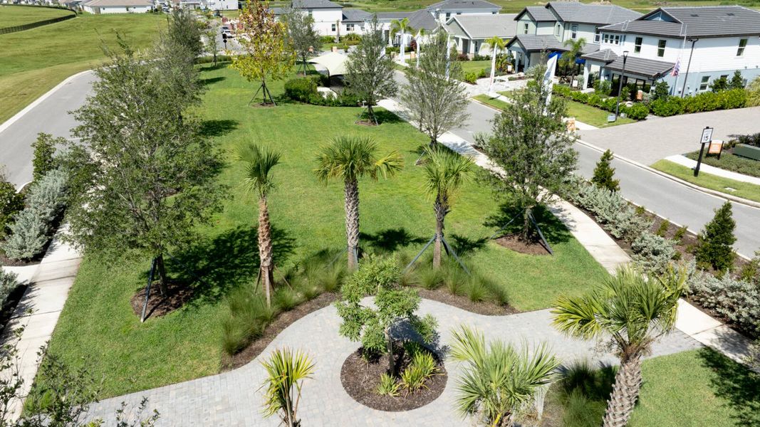 Community amenity available to residents of Wildleaf at North River Ranch in Parrish (Image 13).