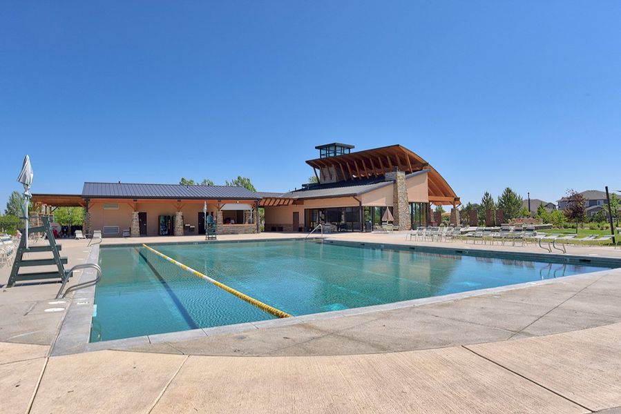 Pool at anthology north Pool at anthology north