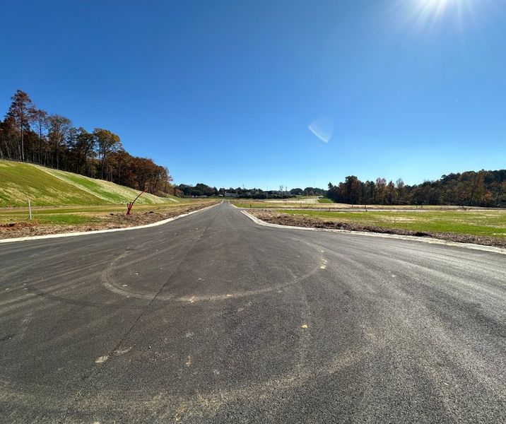 Natural surroundings and green spaces near The Hoback in Cleveland, TN (Image 65).