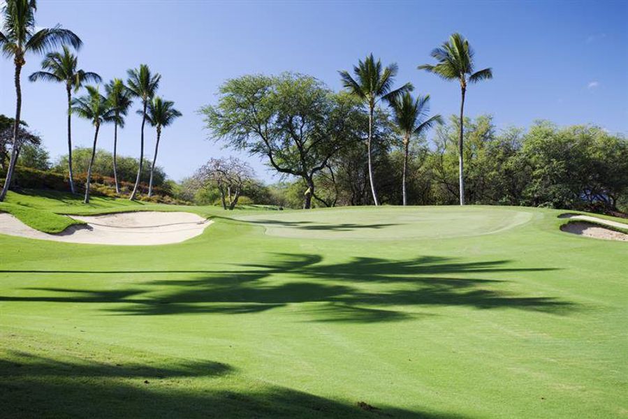 Play 18 holes at Sandridge or Sebastian Municipal, just minutes from home.
