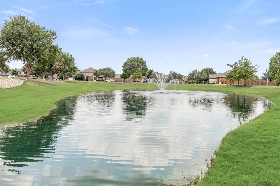 Fox Hollow Pond. Forney, TX New Homes