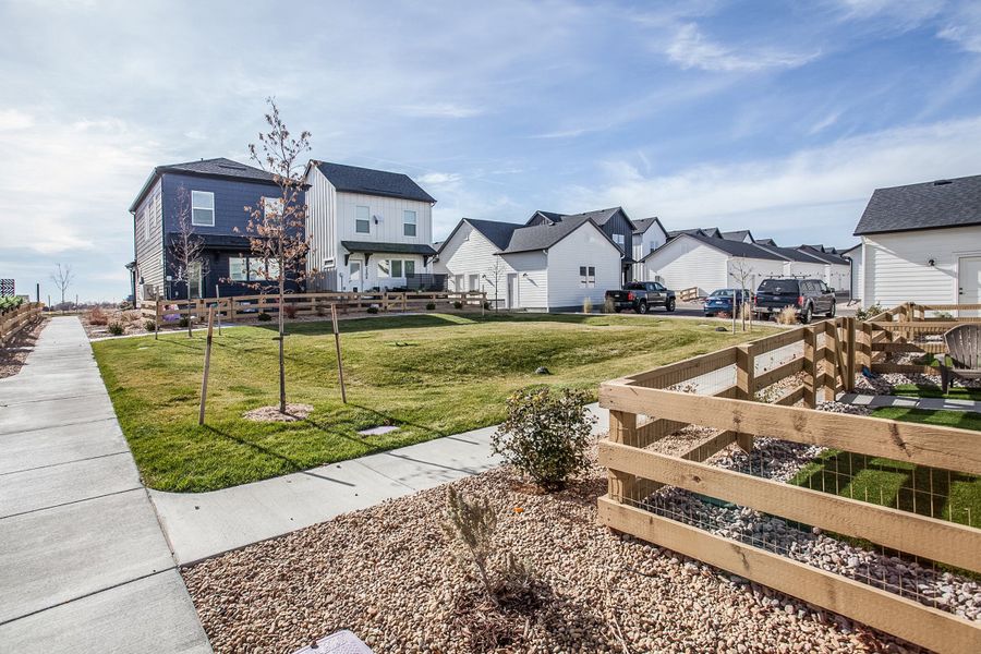 Image 37 of the Bloom community in Fort Collins, CO.