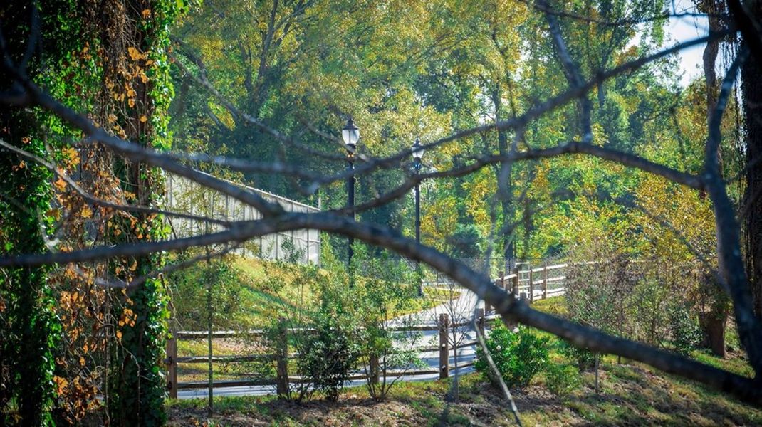 Natural surroundings and green spaces near Brantley in Mooresville, NC (Image 27).