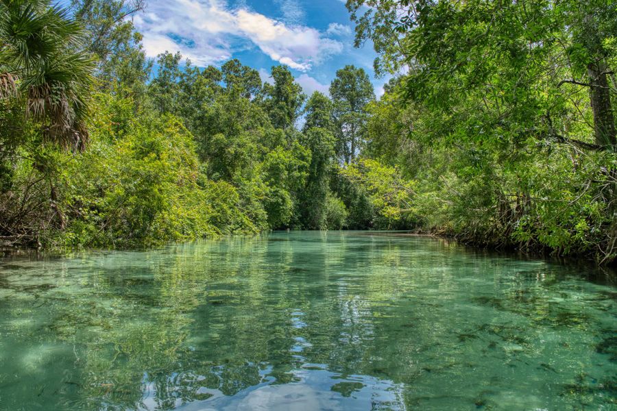 Natural beauty 4 miles from your front door