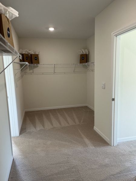 A spacious walk-in closet with beige carpet, white walls, and wire shelving.