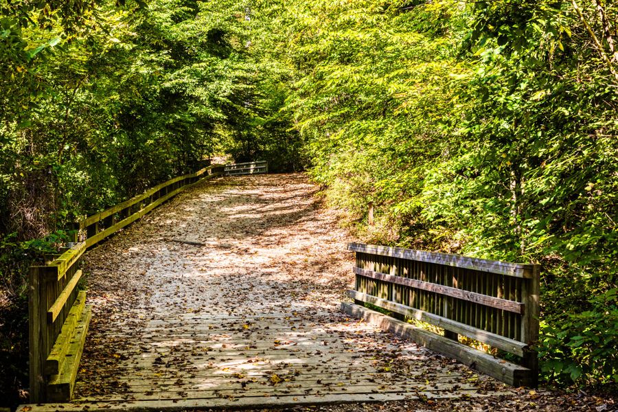Natural surroundings and green spaces near Madison Park in Lillington, NC (Image 16).