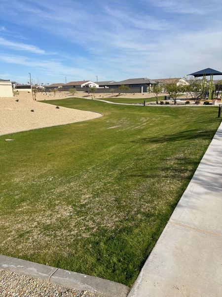 A serene neighborhood park with green lawns and paths in The Vistas Collection at Village at Sundance by Century Communities (Buckeye, AZ).