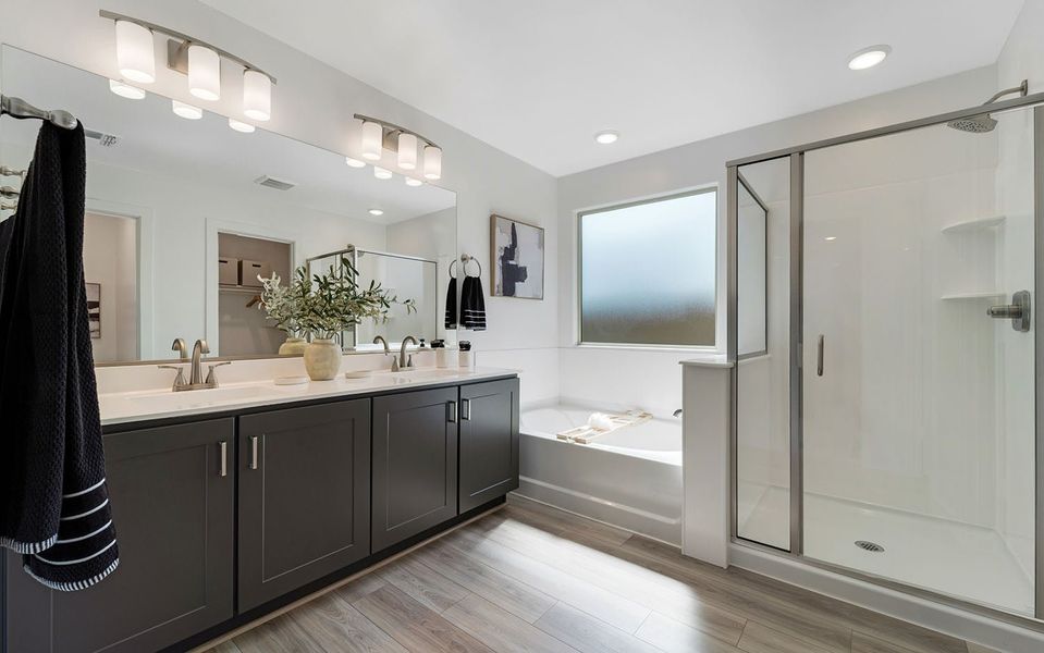 Furnished interior in a model home at Rancho Santa Rosa in Maricopa (Image 49).