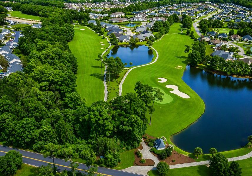 Live on the International Club Golf Course Live on the International Club Golf Course