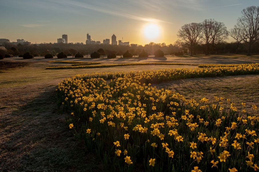 Dorothea Dix Park Dorothea Dix Park