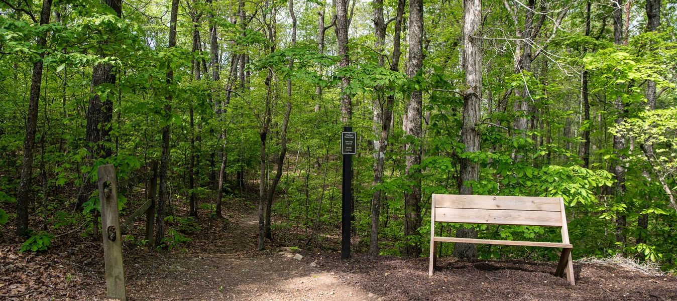 Community amenity available to residents of East Harbor II at Chestatee in Dawsonville (Image 19).