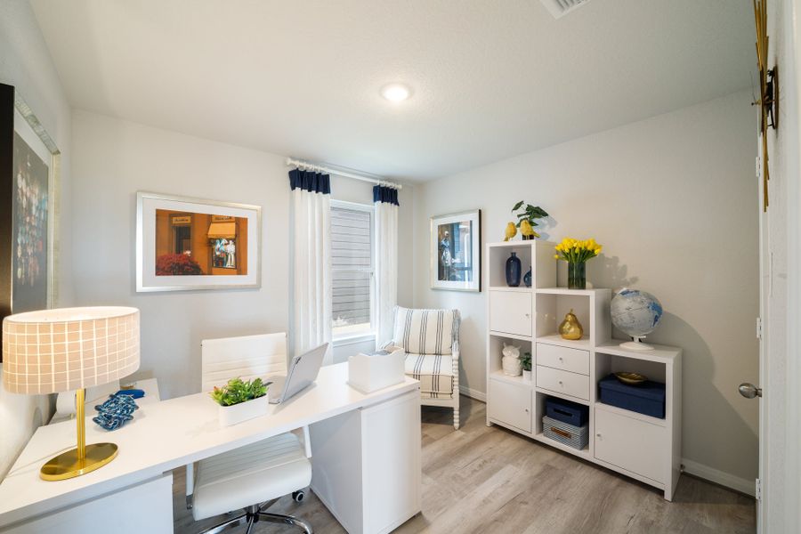 Katzer Ranch - Telluride - Study