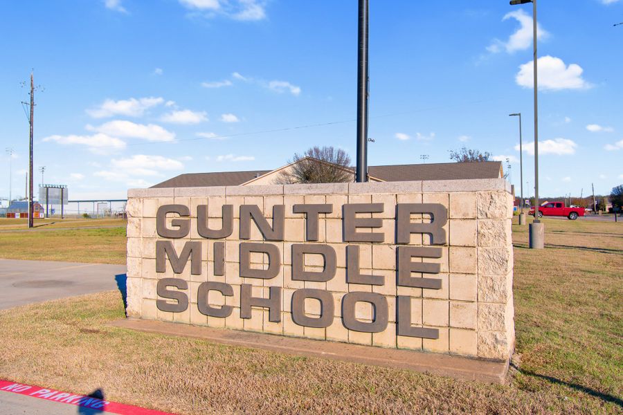Entrance to the The Meadows community in Gunter, TX, featuring signage and landscaping (Image 10).