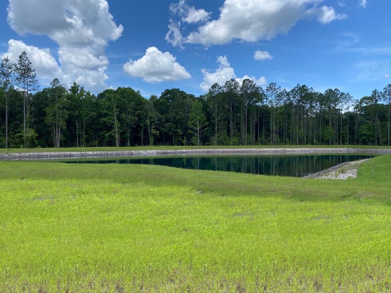 Natural surroundings and green spaces near Southwind Plantation in St. Augustine, FL (Image 20).