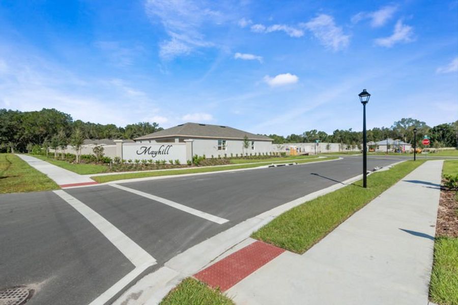 View from the Neighborhood Entrance