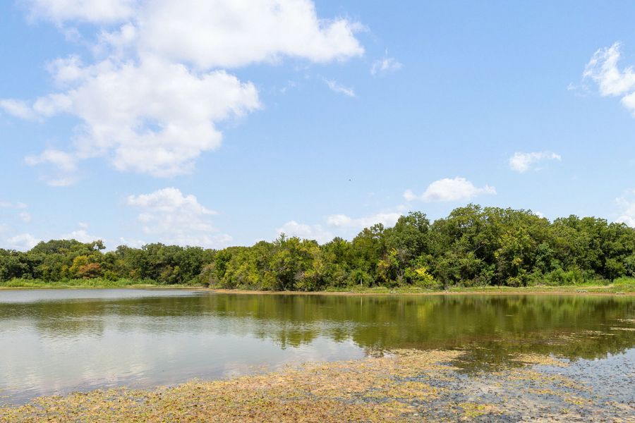 Calm pond with tree-lined shore and partly cloudy sky reflecting on the water surface