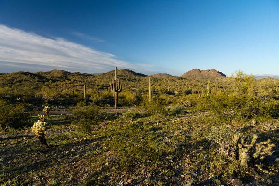 Natural surroundings and green spaces near Trailmark at Saddleback in Peoria, AZ (Image 9). Natural surroundings and green spaces near Trailmark at Saddleback in Peoria, AZ (Image 9).