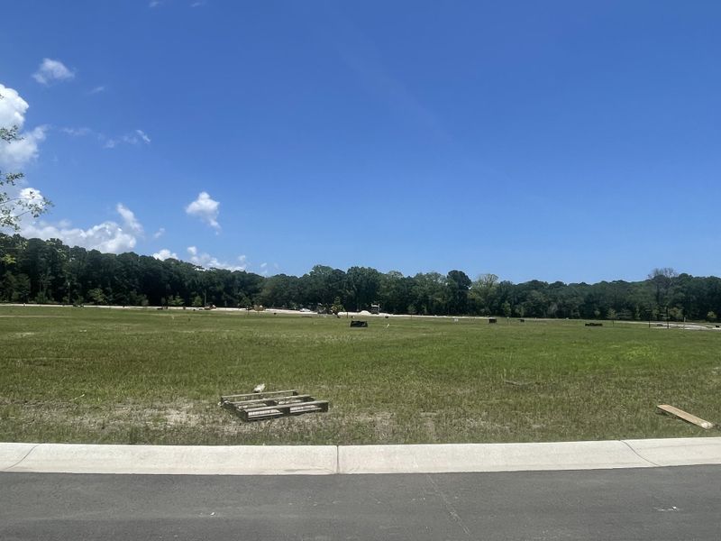 Expansive green lot in Miller's Crossing by Dream Finders Homes, promising serene living in Johns Island, SC.