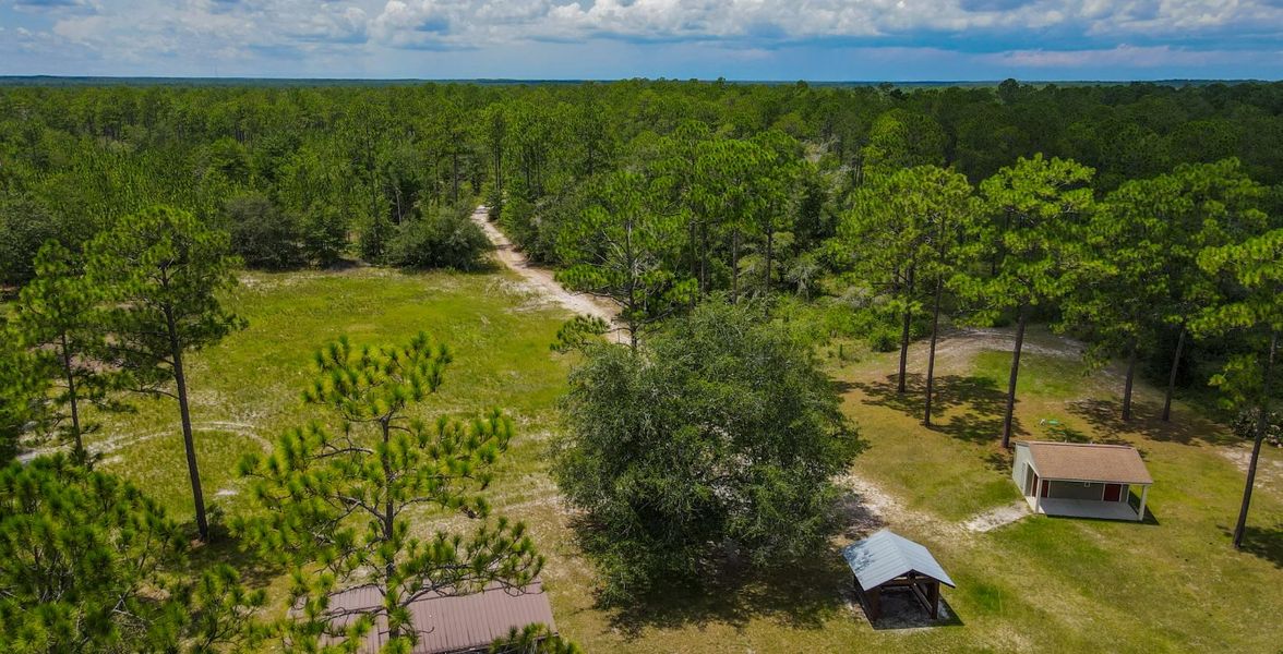 Jennings State Forest Jennings State Forest