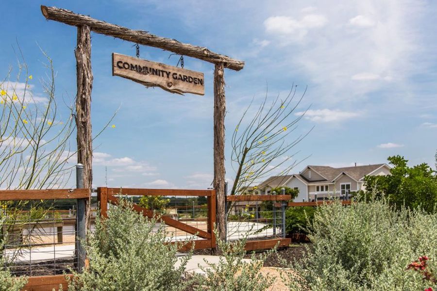 Image 41 of the Orchard Ridge community in Liberty Hill, TX.