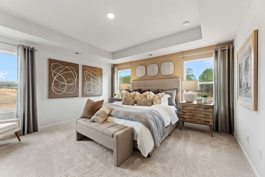 A bedroom with a bed and couches.