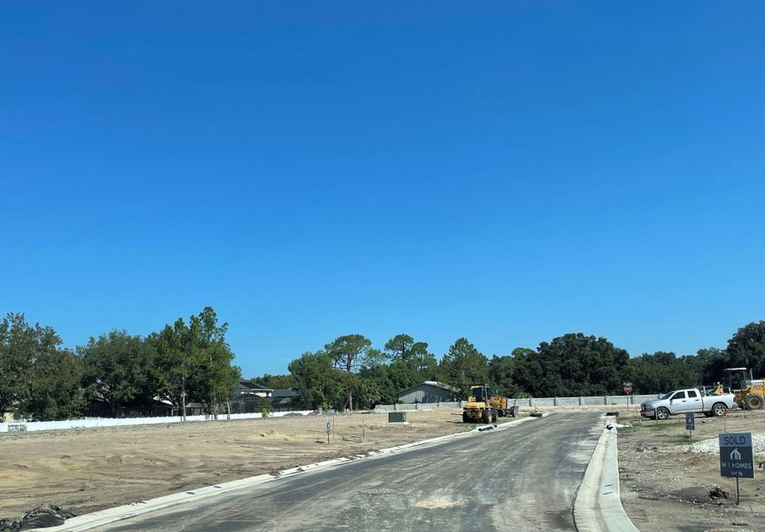 Image 21 of the Bartram's Landing at St. Johns community in Sanford, FL.