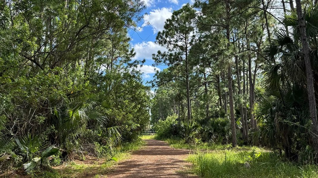 Timbers Everlands Amenity Trail 3of6