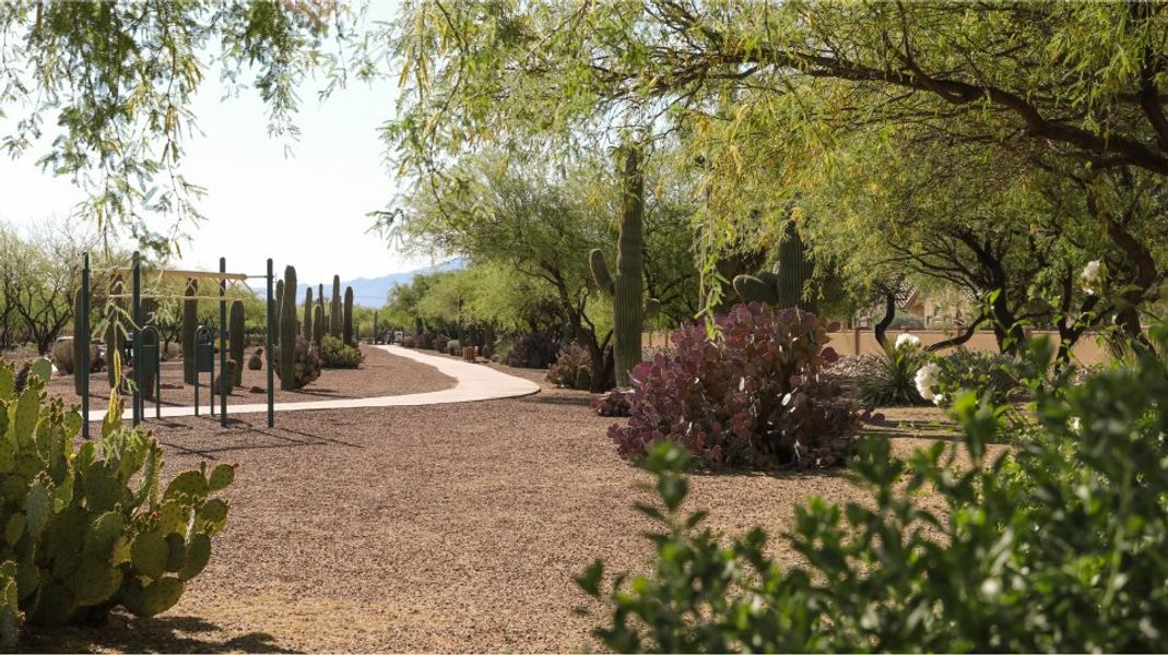 trail