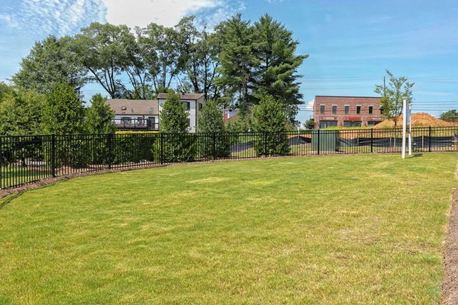 Neighborhood dog park for furry friends