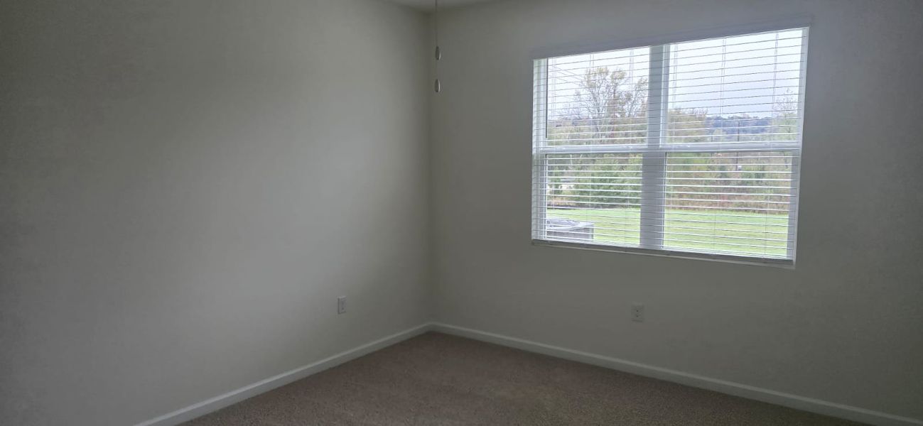 A bright room with neutral walls, plush carpeting, and a large window overlooking a lush green landscape.