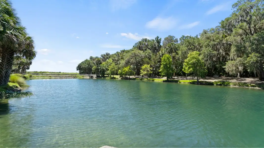 Gemini Springs Park landcape