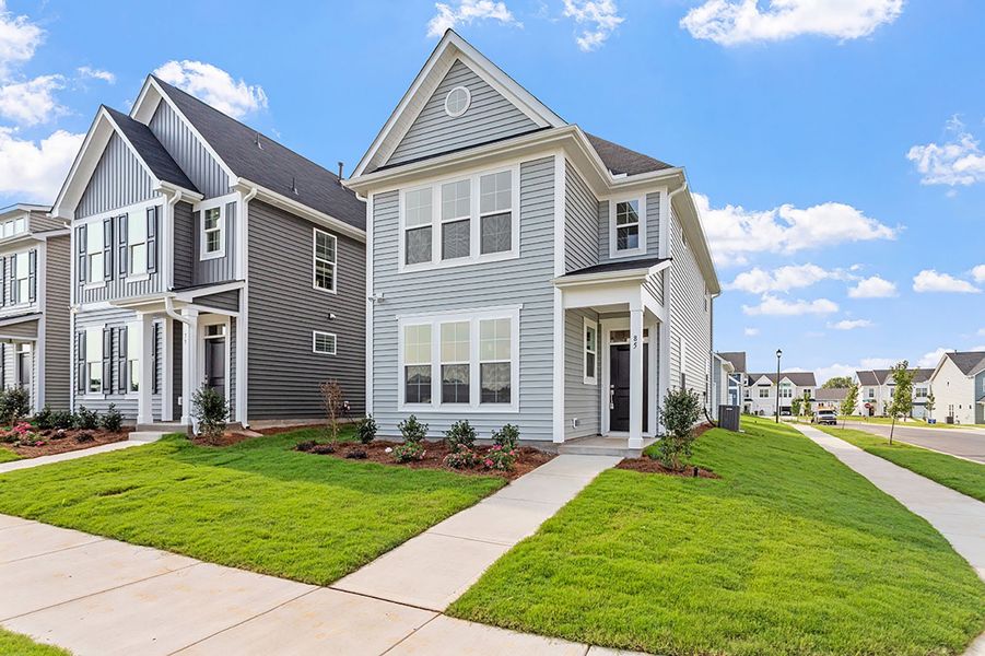 Renaissance Collection | Delaney Plan