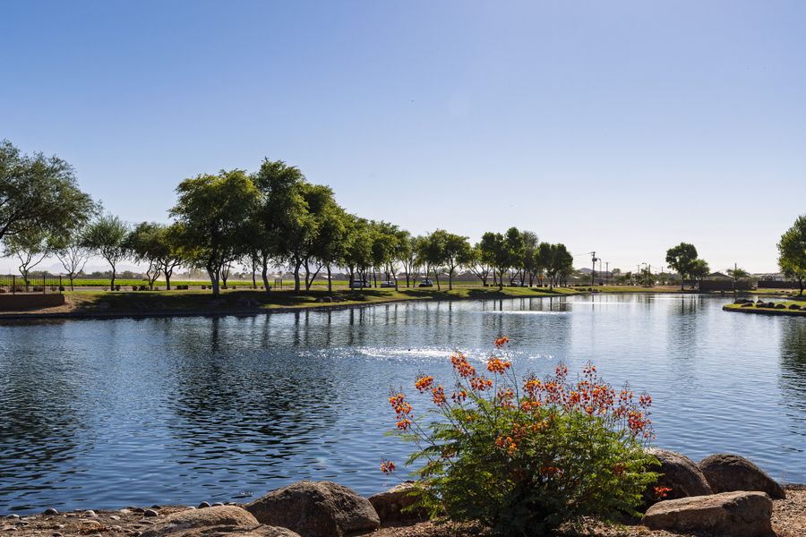Natural surroundings and green spaces near Rancho Mirage in Maricopa, AZ (Image 37).